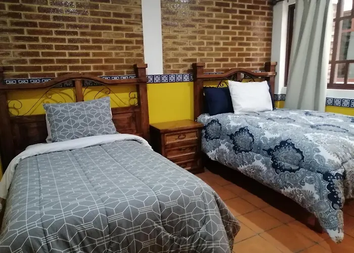 Hotel Y Suites Axolotl