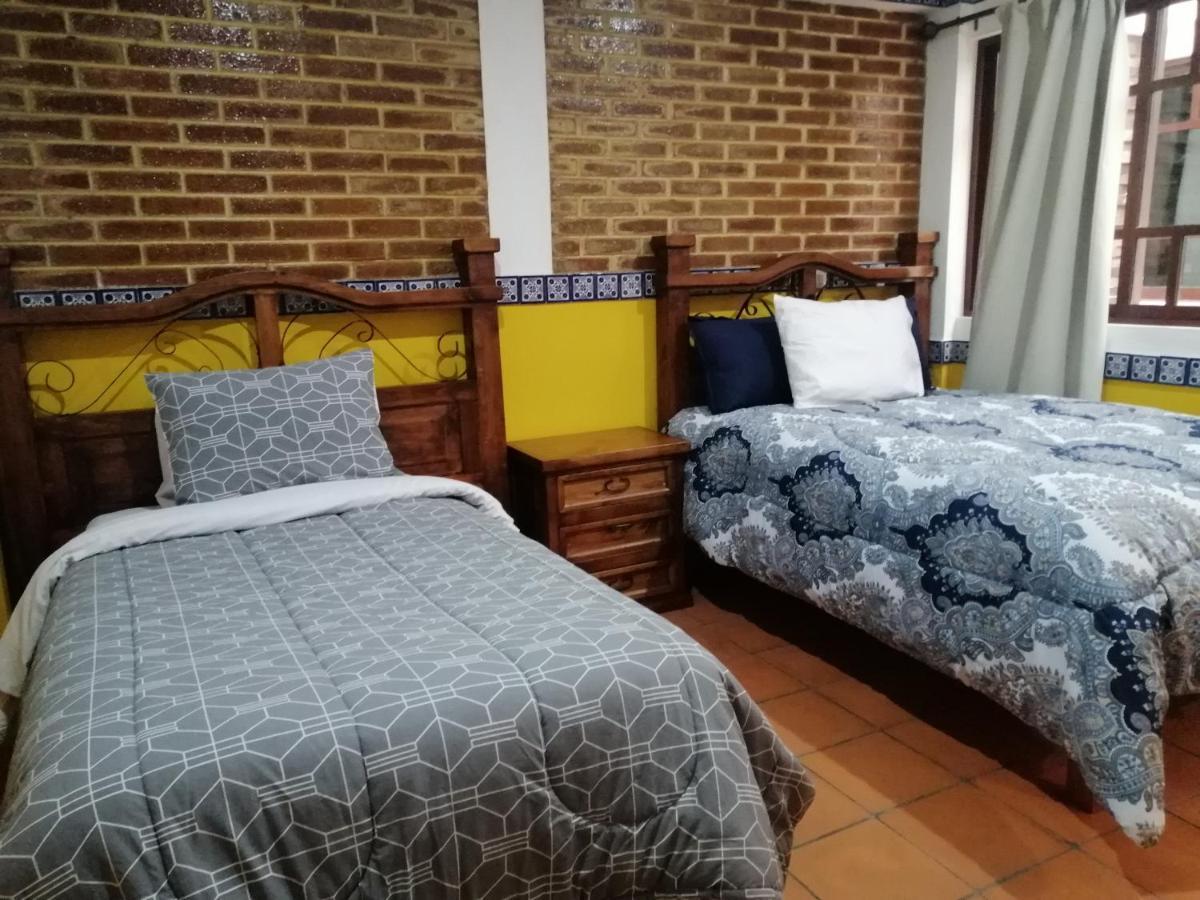 Apartamento Y Axolotl *