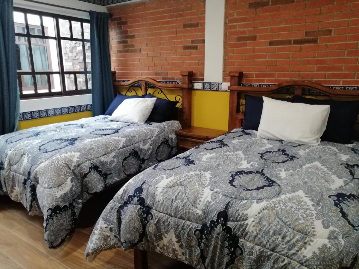 Y Axolotl Apartamento