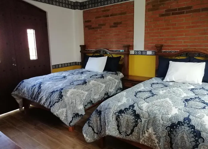 Hotel Y Suites Axolotl