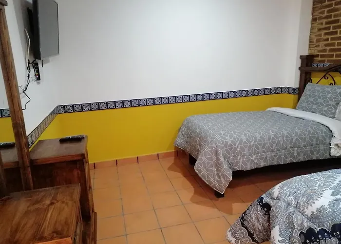 Hotel Y Suites Axolotl